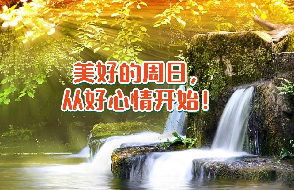 http://mp.weixin.qq.com/s?__biz=MzAwODExMTM2Mw==&mid=2649556103&idx=1&sn=227078cdd1871343578f4b8e2cf45fc5&chksm=836a70ebb41df9fd53bff49beb12bb9f32d35415e7c7f2628dadb0995ff6f7772176c935e31f#rd