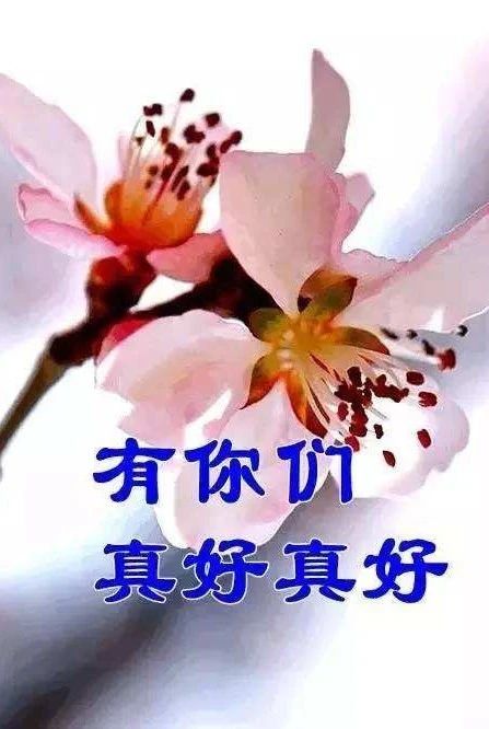 http://mp.weixin.qq.com/s?__biz=MzIwNDU0NDA2Mg==&mid=2247833134&idx=8&sn=f0349488c9425c088f03a24cd27202d8&chksm=9731177fa0469e6994bafa87607c3b9a9c635cfe01231992b06c7a7100cea07b49a3a32b3f24#rd