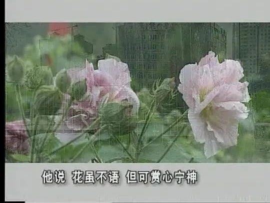 http://mp.weixin.qq.com/s?__biz=MzA3NDI5NzQyOQ==&mid=2650501172&idx=6&sn=d252403fbb2da79021c22bcd8c428d42&chksm=870e290eb079a018d2efcce59867bfbbfe0f21f2187340ea5492fe60522e93a33811e63b0583#rd