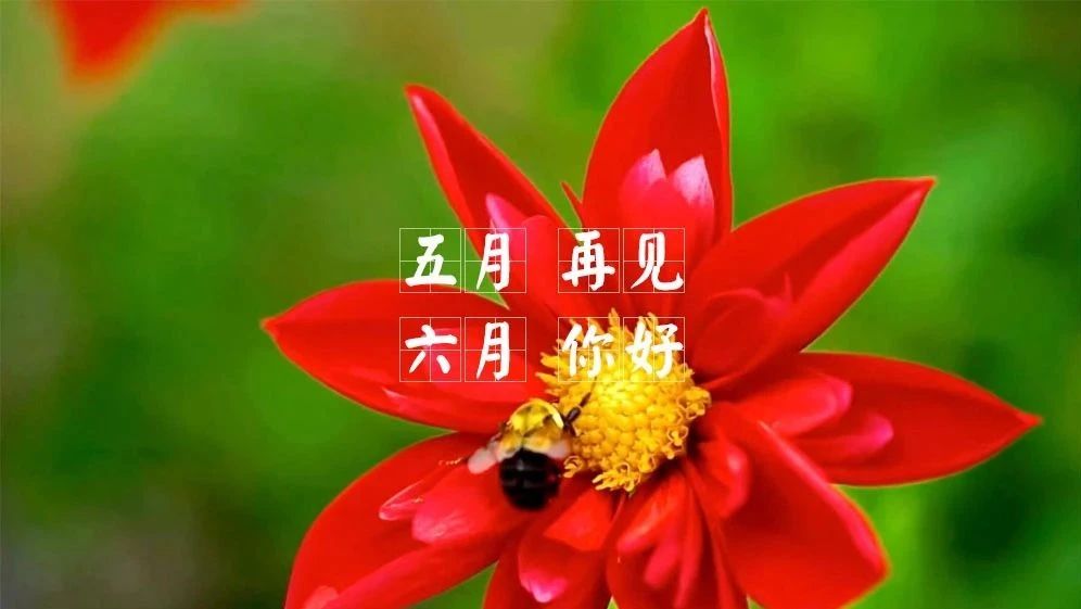 http://mp.weixin.qq.com/s?__biz=Mzg2NTQ0OTU3MA==&mid=2247533065&idx=1&sn=c43d268d48466e55c632d8f3ce7c4e2f&chksm=ce5be104f92c681240abd96e24d9df18fc977acab4b43be445cc377c7e55ead111d6aa1ee172#rd