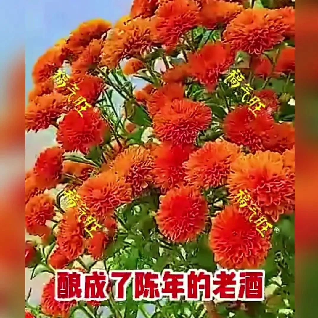 http://mp.weixin.qq.com/s?__biz=MzIwNDU0NDA2Mg==&mid=2247840734&idx=4&sn=92a4c78e27106a015602f468881fb95a&chksm=9731728fa046fb99bce76f64eb839f23afd9988fb0e1be54211e7241017b7768ff7290e4c8b5#rd